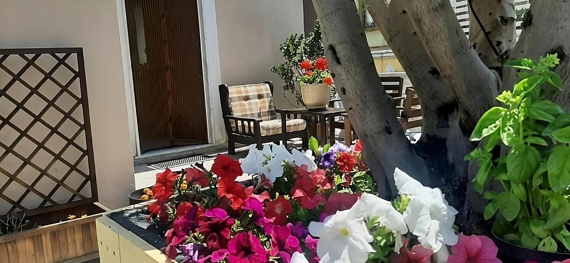 Holiday House Nellina Boscoreale Dış mekan fotoğraf